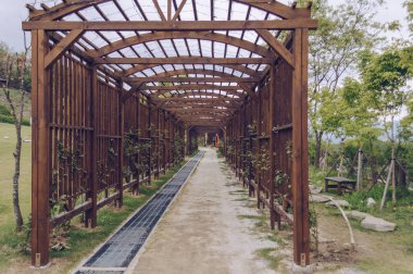 Pocheon, Güney Kore - 10 Mayıs 2017: Pocheon Sanat Vadisi 'nde ışıklarla süslenmiş ahşap geçit ve tırmanan güller