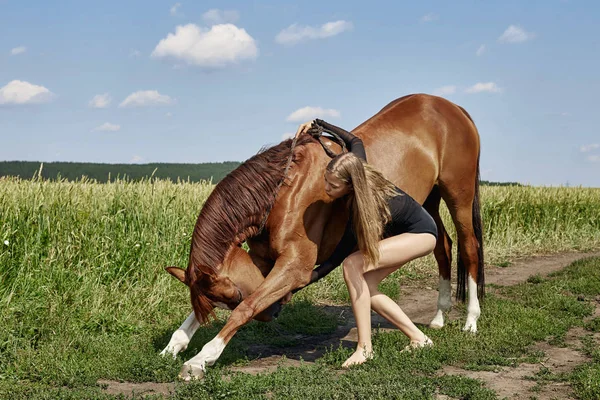 Meisje Rider Staat Naast Het Paard Het Veld Mode Portret — Stockfoto