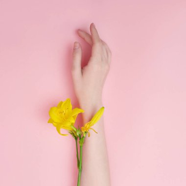 El ve bahar çiçekleri üzerinde bir pembe tablo Cilt Bakımı vardır. Doğa kozmetik nemlendirici el cilt bakımı, el, kırışıklıkları azaltmak için bir araç için. Doğal kozmetik üzerinden çiçek özü, güzellik ve moda