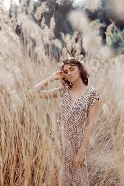 Autunno ritratto di bellezza di una bella ragazza in un campo nel gra — Foto Stock