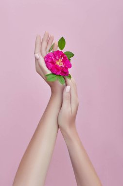 Kırmızı çiçekli bir kadının eli masanın üzerinde, pembe pape