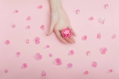 Kırmızı çiçekli bir kadının eli masanın üzerinde, pembe pape