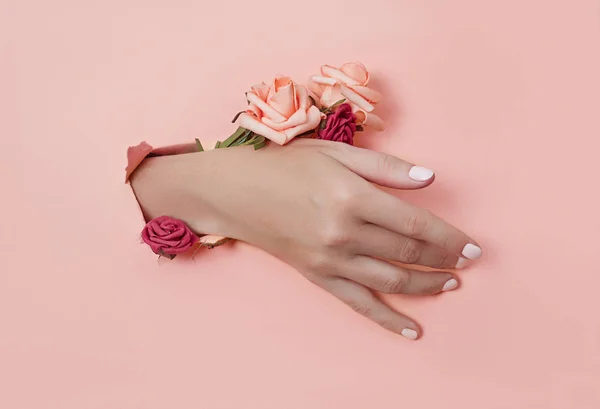 Ręka z papierowymi kwiatami i malowanymi paznokciami przebija się przez dziwkę — Zdjęcie stockowe