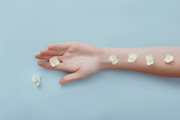 Beauty Hand of a woman with white apple flowers lies on table, b