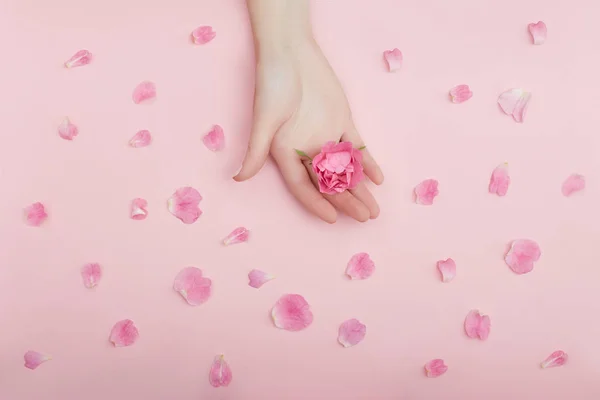Краса Рука жінки з червоними квітами лежить на столі, рожевий папір — стокове фото
