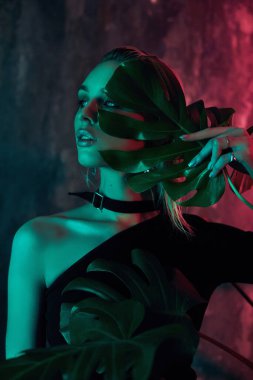 Tropikal neon ışıkta moda kadın portresi. Islak saç, mükemmel vücut ve makyaj. Pembe ve yeşil neon rengi. Güzel kız ve canavar yaprakları