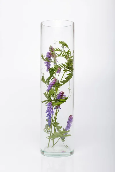 Φυσικά Καλλυντικά Βιολογικά Προϊόντα Από Φυτά Και Λουλούδια Φυτικά Καλλυντικά — Φωτογραφία Αρχείου