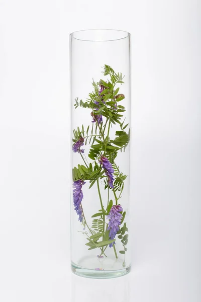 Φυσικά Καλλυντικά Βιολογικά Προϊόντα Από Φυτά Και Λουλούδια Φυτικά Καλλυντικά — Φωτογραφία Αρχείου
