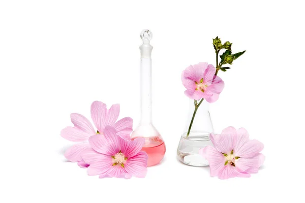 美容品在瓶装天然化妆品中 草本从花瓣中提取出有机精华 科学实验粉红花朵制成的手部化妆品 — 图库照片
