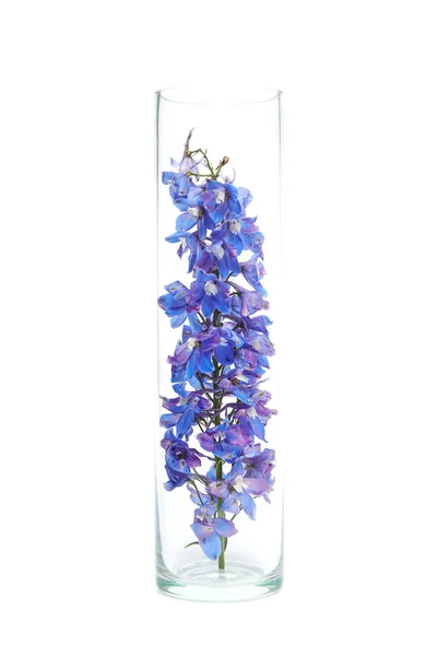 玻璃瓶中的草本野花 天然化妆品 花卉精华 — 图库照片