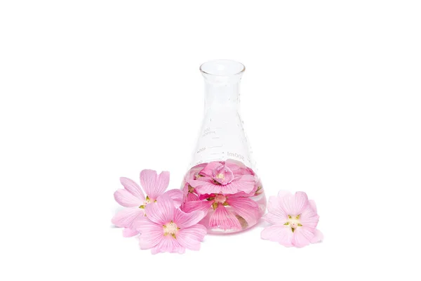 生产天然花卉化妆品 用化学瓶装花瓣精华 新鲜香草中提取的精油 — 图库照片
