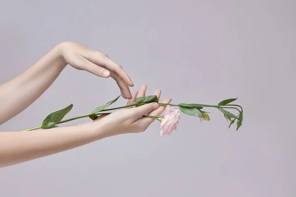 Mujer Belleza Con Flores Rosas Mano Cosmética Natural Para Cuidado —  Fotos de Stock