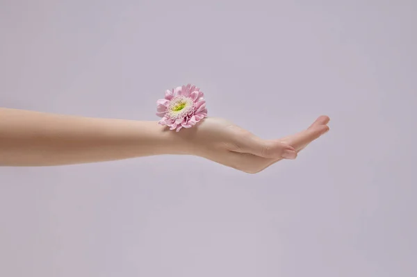 Elinde Pembe Çiçekler Olan Güzel Bir Kadın Derisi Bakımı Için — Stok fotoğraf
