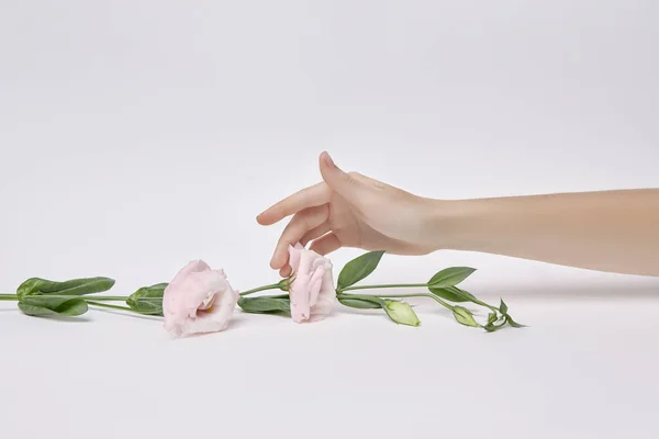 Mujer Belleza Con Flores Rosas Mano Cosmética Natural Para Cuidado —  Fotos de Stock