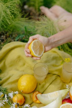 Bir el, yemyeşil ve parlak çiçeklerin arasında canlı bir piknik battaniyesinde ferahlatıcı içeceklerin ve renkli meyvelerin üzerine limon sıkıyor. Sahne neşeli bir açık hava anını yakalıyor..
