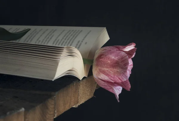 Aufgeschlagenes Buch Mit Einer Schönen Rosa Tulpe Als Lesezeichen Auf — Stockfoto