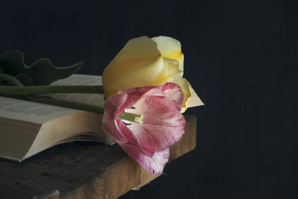Dos Hermosos Tulipanes Libro Abierto Esquina Una Vieja Mesa Madera — Foto de Stock