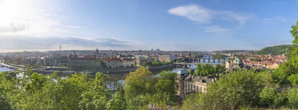 全景与美丽的布拉格城市 捷克共和国的首都 被绿色的森林围拢 横渡由伏尔塔瓦河河在一个晴朗的天夏天 — 图库照片