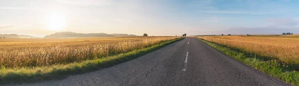 Idilli Rusztikus Panorama Egy Utcán Arany Mezőgazdasági Mezők Között Sunrise — Stock Fotó