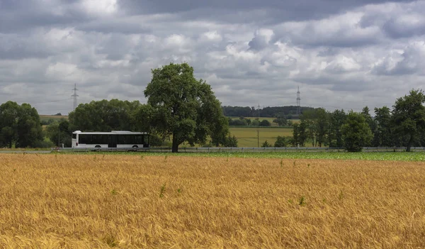ドイツの公共交通機関で農業分野と森を道路上で運転から白バスで農村風景 — ストック写真