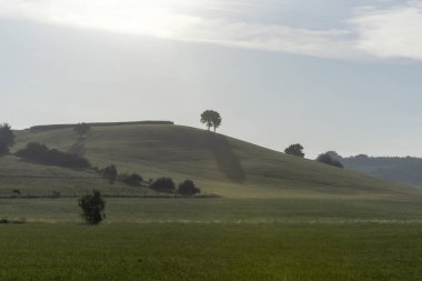 Yeşil çim mera ve hillside sabah ışık ile manzara