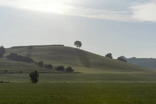 緑の草の牧草地と朝の光で丘のある風景します — ストック写真