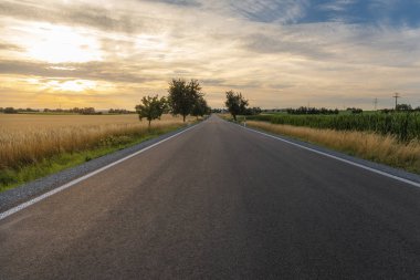 Güzel manzara, gün batımından, Schwabisch Hall town, yakınındaki tahıl alanları üzerinden Almanya Baden Wurttemberg alan, geçiş uzun ve boş bir yol ile.