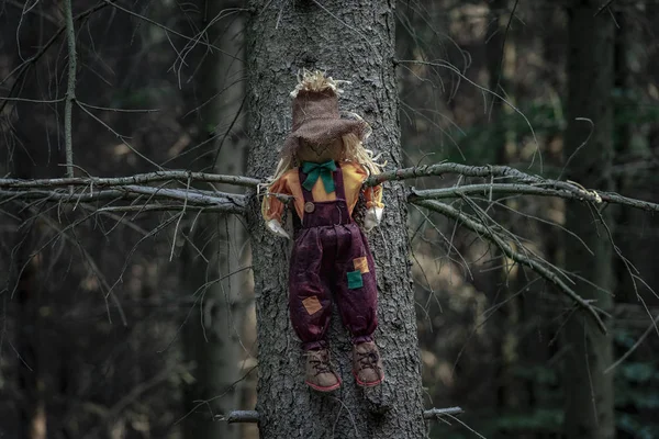 Eski Püskü Bez Bebek Bir Ağacın Yaprakları Karanlık Bir Ormanda — Stok fotoğraf
