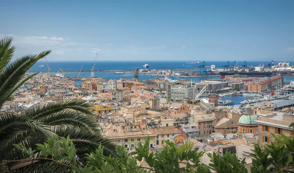 Beautiful Cityscape Genoa City Its Famous Port Image Framed Palms — Stock Photo, Image