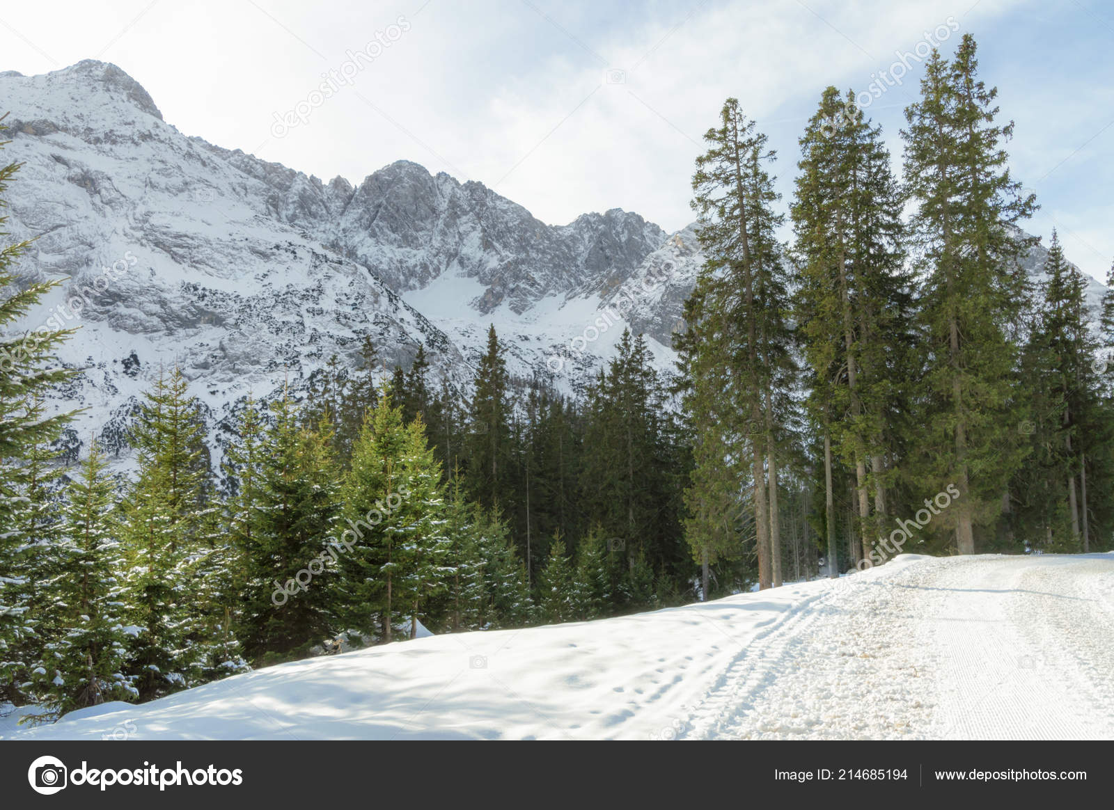 Sunny Winter Landscape Road Snow Fir Forest Snowy Rocky Mountains Stock Photo By C Yesphotographers Sunny Winter Landscape Road Snow Fir Forest Snowy Rocky Mountains Stock Photo By C Yesphotographers