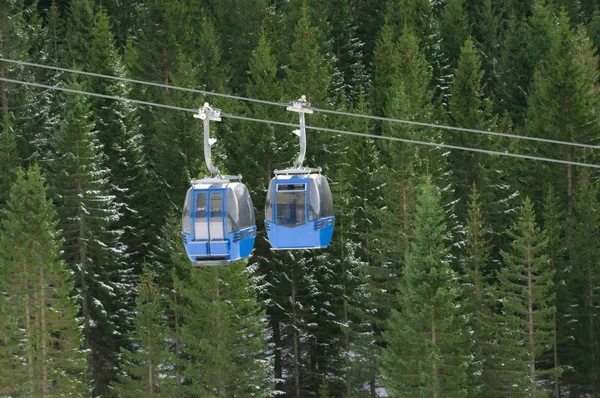 Two cable cars, that go in opposite ways, meet over the snowy evergreen fir forest, in the Alps mountains, in Ehrwald, Austria, in December.
