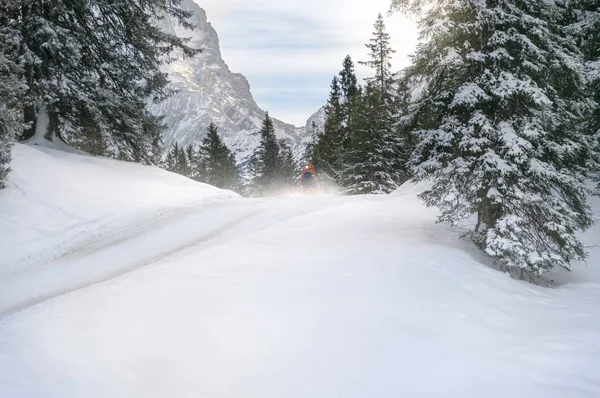積雪のモミの木 晴れた日に雪とエールヴァルト オーストリア オーストリアのアルプスを介して道路に覆われた丘のある冬景色 — ストック写真