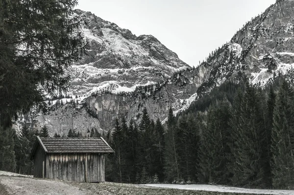 Weathered wooden barn in a winter scenery with the snowy austrian alps and the evergreen pine forest