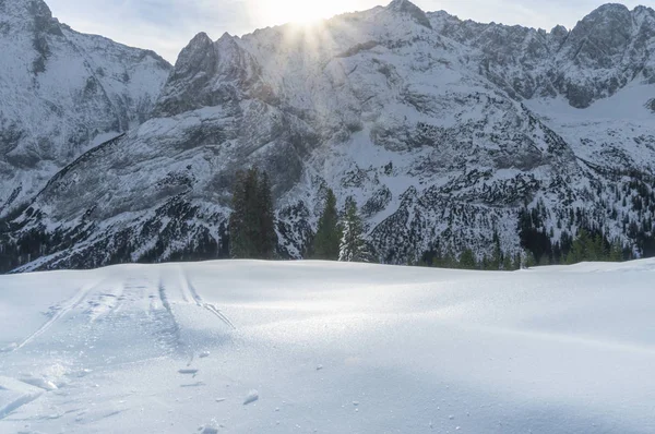 Slunný Zimní Den Zasněžené Vrcholky Pohoří Alp Jedle Silná Vrstva — Stock fotografie