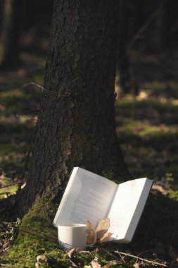 Bir ağaç gövdesi ve bir fincan kahve, Almanya'da bir sonbahar ormandaki karşı açık bir kitap ile doğa severler için açık hava etkinlikleri eğildi.
