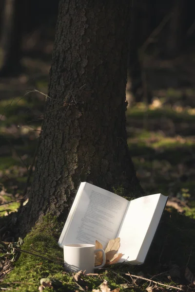 Outdoor Aktivitäten Für Naturliebhaber Mit Offenem Buch Angelehnt Einen Baumstamm — Stockfoto