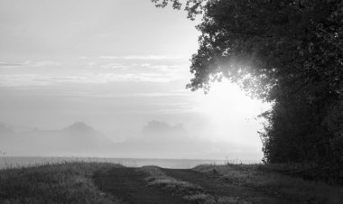 Bir orman kenarı bir sokak ve bir çayır üzerinde parlayan güneş sis, Schwabisch Hall, Almanya yakınındaki kaplı. Özgürlük için bir kavram. Siyah ve beyaz.