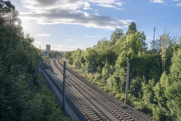 Bahngleise Umgeben Von Grünen Bäumen Unter Blauem Himmel Bei Sonnenuntergang — Stockfoto