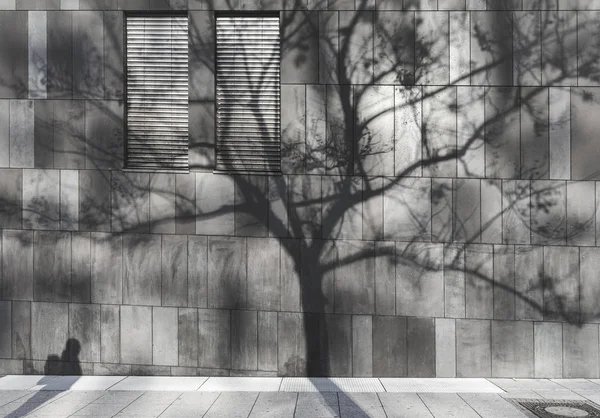 Shadow of a man and a tree on a modern wall — Stock Photo, Image