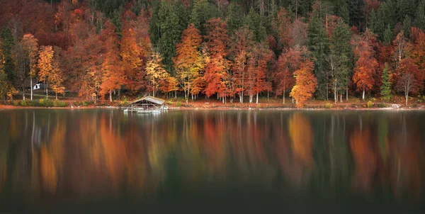 Autumn forest and water reflection panoramic view — Stock Photo, Image