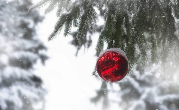 Palla di Natale in un abete innevato in un giorno nevoso — Foto Stock