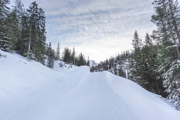 Winter scenery with snowcovered alpine road and the snowy forest