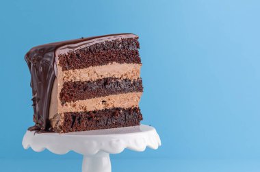 Beyaz bir stand üzerinde Çikolatalı doğum günü pastası dilim yakın çekim