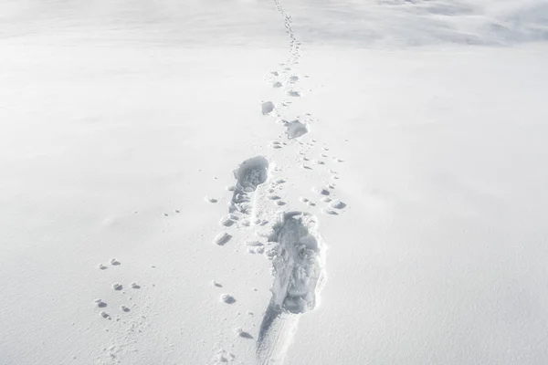 Pegadas na neve. Contexto meteorológico de inverno. Caminhando sozinho — Fotografia de Stock