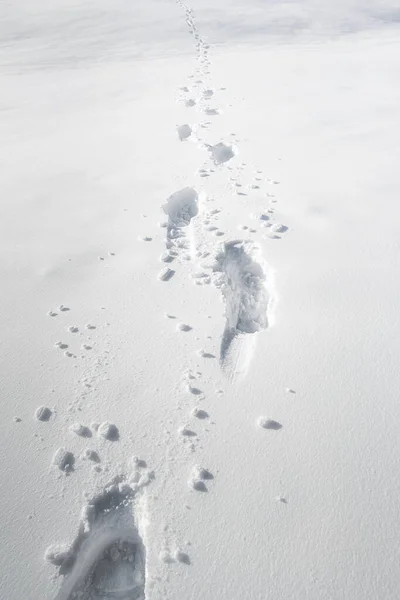 Passos na neve. Caminho do pé através da neve. Cenário de inverno — Fotografia de Stock