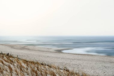 Marram otlu kuzey sahili. Sylt Adası plaj manzarası