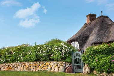 Geleneksel İskandinav sazlıklarının çiçek çitli çatı evi, Sylt Adası, Kuzey Denizi, Almanya. Yazın güneşli bir gününde Hollanda tarzı bir ev..