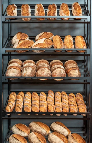 Fırındaki metal bir rafta taze pişmiş ekmek somunları. Çeşitli beyaz ekmek türleri ve boyutları.