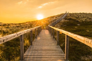 Sylt island sunrise scenery with wooden stairs climbing the sand dune. Wooden deck over the covered in moss dunes. Natural parkland in the North Sea on the german island, Sylt clipart