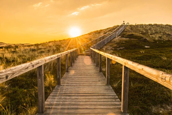 木製の階段でシルト島の日の出の風景砂丘を登る 苔の砂丘で覆われた木製のデッキ ドイツの島シルトの北海にある自然公園 — ストック写真